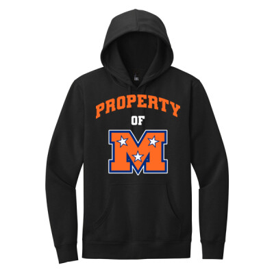 District Fleece Hoodie - Property of Mojo Thumbnail