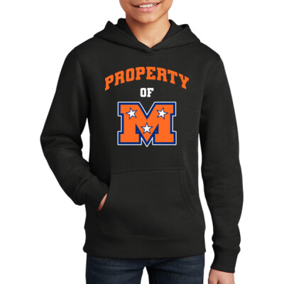 Youth District Fleece Hoodie - Property of Mojo Thumbnail